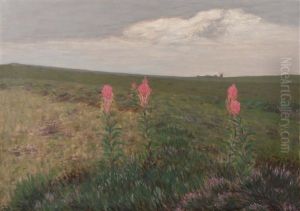 Weidenroschen by Wilhelm Laage