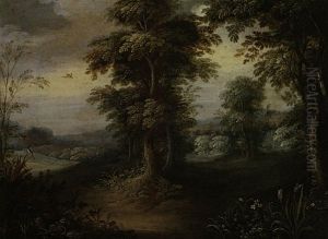 Sommerliche Waldlandschaft Mit Voglen Und Blumen