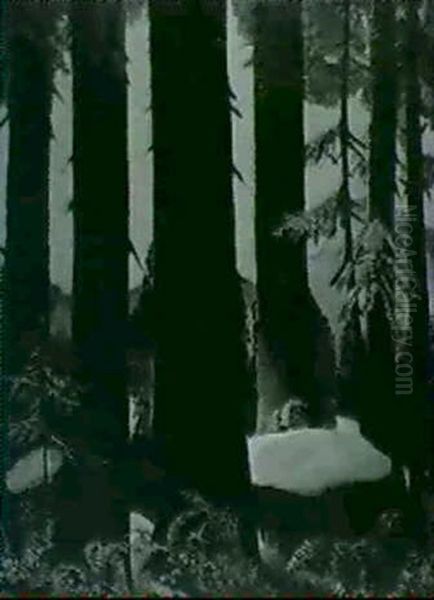 Redwoods - view 1