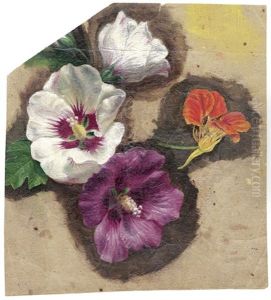 Studienblatt Mit Hibiskus Und Kapuzinerkresse (+ Studie Einer Rose; 2 Works)