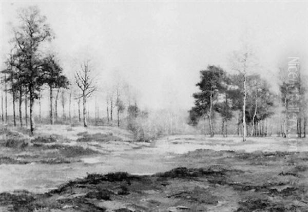 Lac A L'oree De La Foret - view 1