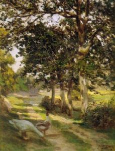 Canard Et Oie Dans Un Chemin Canard Et Oie Dans Un Chemin