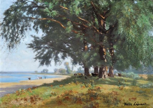 La Loire A Cande - view 1