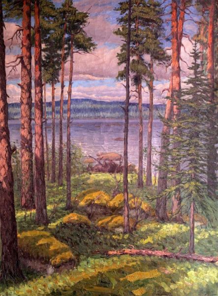 Insjolandskap Med Tallar - view 1