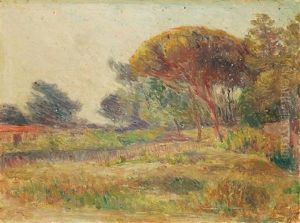Landscape Landscape