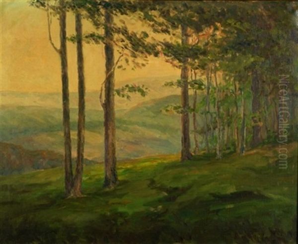 View Through The Trees - view 1