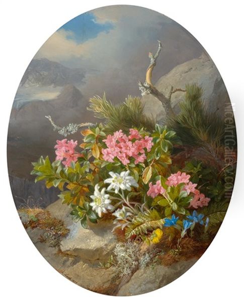 Edelweiss, Alpenrose Und Berg-hahnenfuss In Den Alpen - view 1
