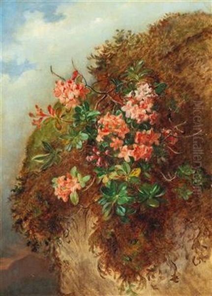 Alpine Rose On A Mountain Slope - view 1