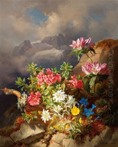 Alpine Flowers - view 1