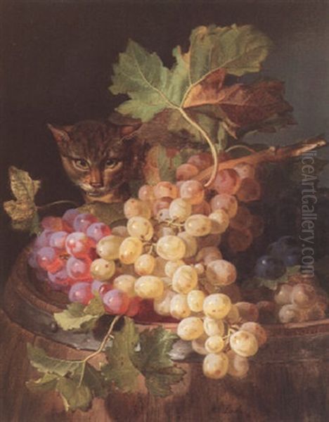 Stilleben Mit Weintrauben Und Katze - view 1