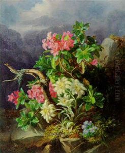 Alpenblumen by Andreas Lach
