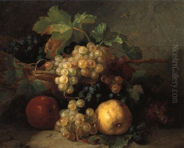 Stilleben Mit Weintrauben Und Apfel - view 1