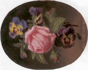 Rose Von Stiefmutterchen Umgeben Rose Von Stiefmutterchen Umgeben