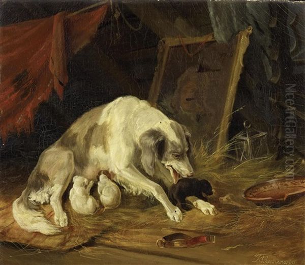 Die Hundemutter Mit Ihren Welpen - view 1