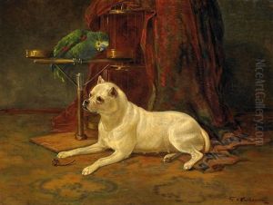Papagei Und Terrier In Der Stube by F. Sigmund Lachenwitz