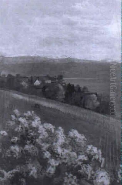 Am Zurichsee - view 1