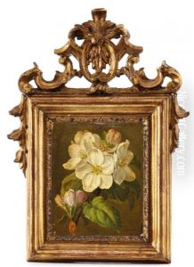 Branche De Pommier En Fleurs