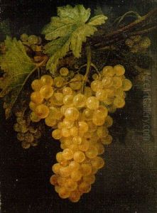 A Bunch Of White Grapes On The Vine