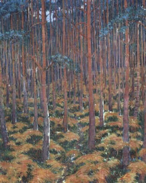En Sous-bois - Fougeres Et Arbres Rouges - view 1