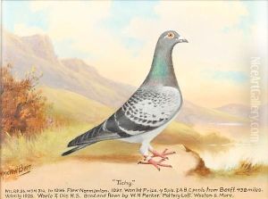 Tichy by William Andrew Beer
