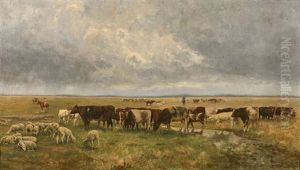 Vaches Et Brebis Vaches Et Brebis