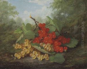 Still Life With Red And White Currants