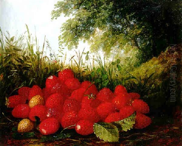 Strawberries In Landscape - view 1