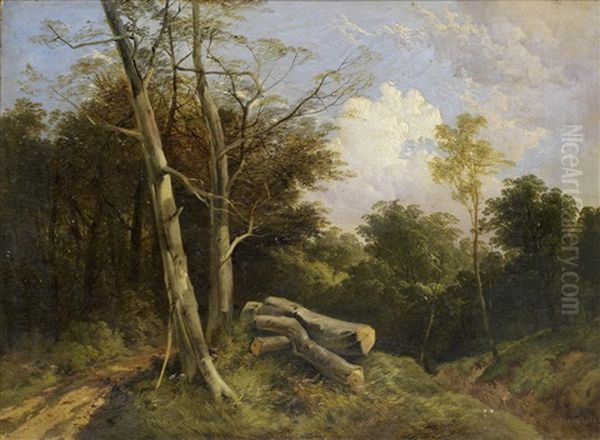 A Woodland Path - view 1