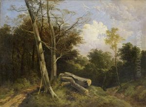 A Woodland Path
