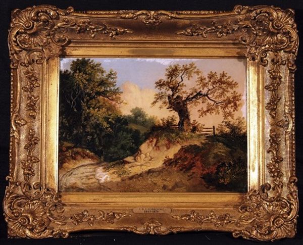 Wooded Lane - view 1