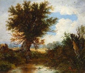 River Landscape