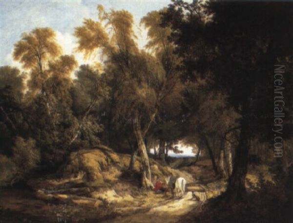Autumn - view 1