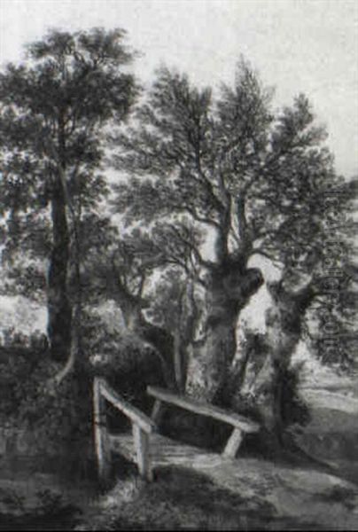 Wooden Bridge... In A Landscape - view 1