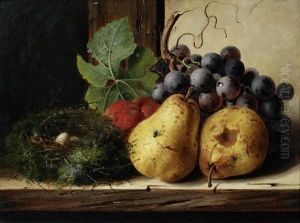 Still Life With Bird's Nest by Edward Ladell