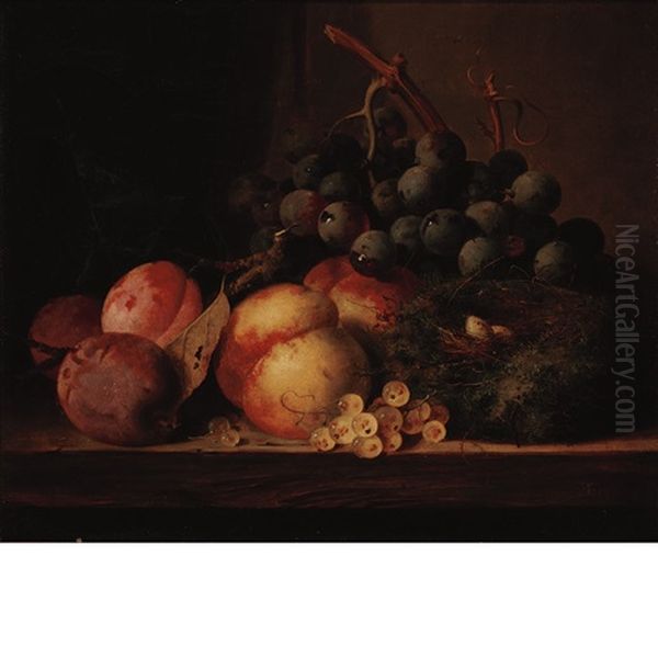 Still Life Of Fruit And A Bird's Nest On A Table Top - view 1