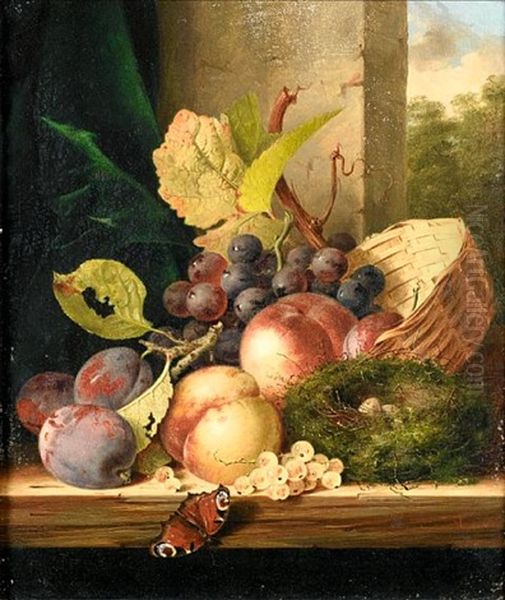 Still Life Of Fruit, A Bird's Nest And A Butterfly On A Ledge - view 1