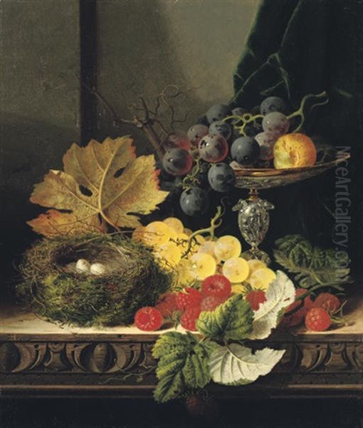 Still Life With A Bird's Nest, Black And White Grapes - view 1