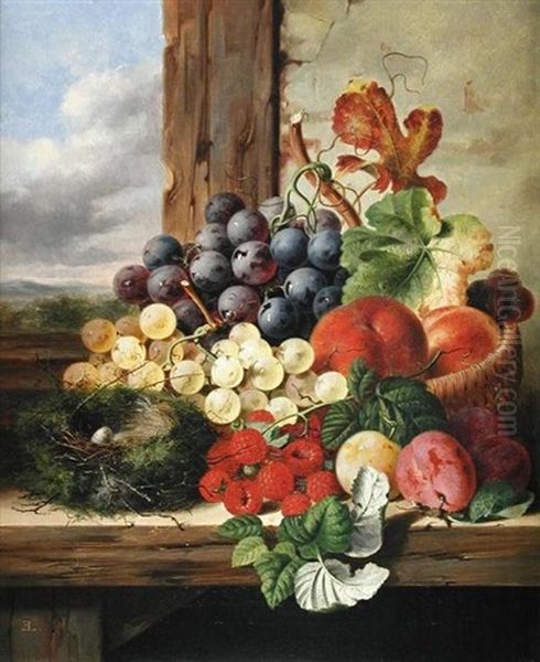 A Still Life Of A Bird's Nest, Graps, Raspberries, And Peaches On A Ledge - view 1