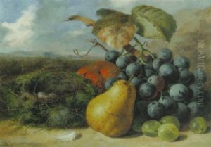 Gooseberrys, A Pear, A Peach, Grapes And A Bird's Nest On A Bank