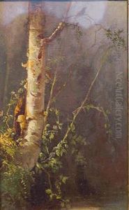 Birch Study