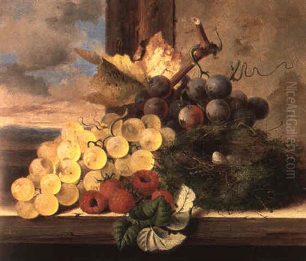 Grapes, Raspberries And A Bird's Nest On A Wooden Ledge - view 1