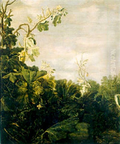 A Pumpkin, A Fig Tree And Other Plants - view 1