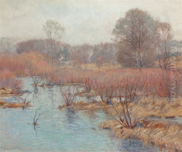 Spring Wetlands - view 1