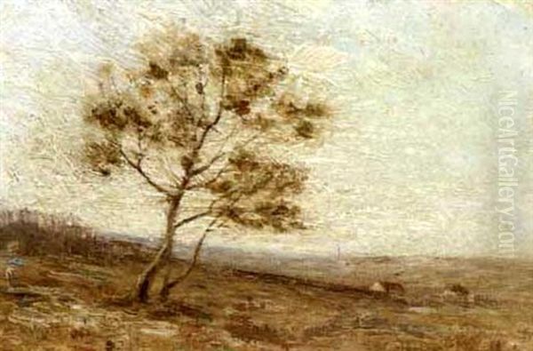 Rural Landscape With Lone Tree - view 1