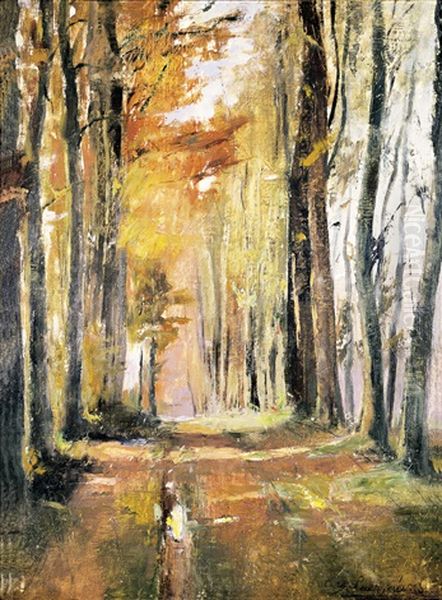 Dreve En Automne - view 1