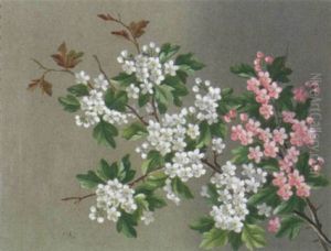 Blomstrende Aebletraesgrene