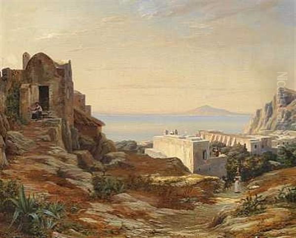 Parti Fra Capri Med Udsigt Mod Vesuv - view 1