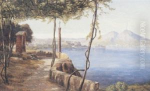 Parti Fra Napolibugten Med Udsigt Mod Napoli Og Vesuv