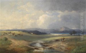 Weite Seelandschaft Mit Gebirgskette Im Hintergrund Weite Seelandschaft Mit Gebirgskette Im Hintergrund