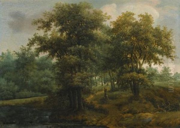 Woodland Scene - view 1